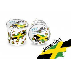 Melasa Ice Frutz Jamaica 120g