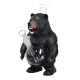 Bongo Niedźwiedź 25cm Limited Edition
