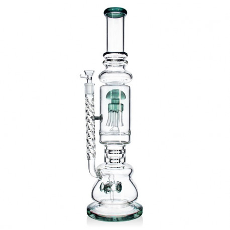 Bongo Lodowe Phoenix 49,5cm Green