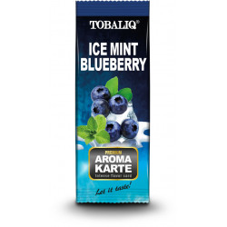 Karta aromatyzująca Ice mint Blueberry